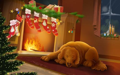  Sleeping oleh the api , Waiting for Santa