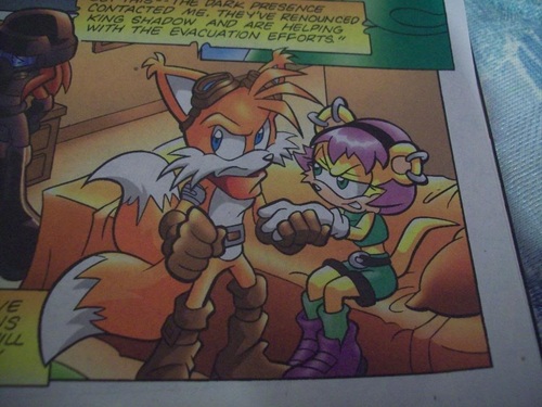  Tails and Mina Prower MxYL
