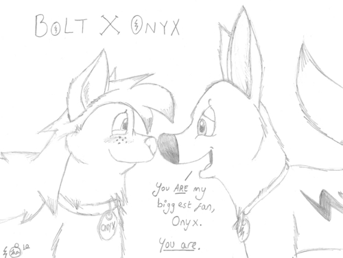  Bolt X Onyx