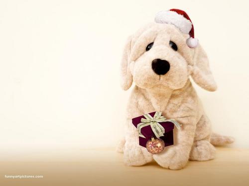  Рождество Dog Teddy