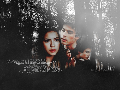  Damon and Elena kertas dinding