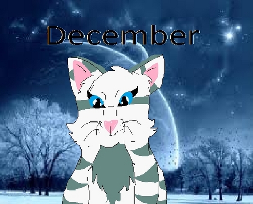  December Icon