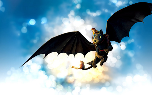  Hiccup and Toothless! =D
