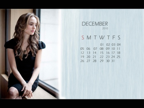  NP.com Calendar - December