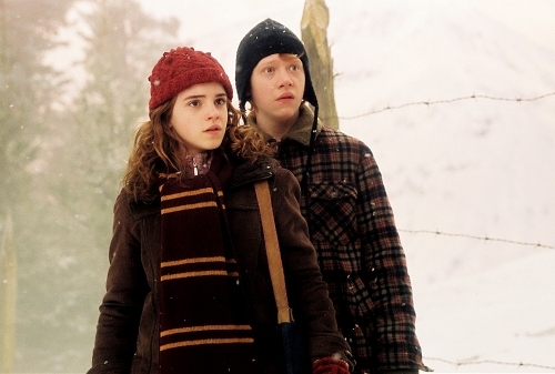  Ron and Hermione - người hâm mộ Arts