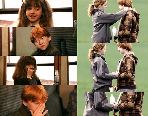  Ron and Hermione - shabiki Arts
