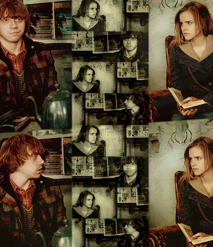  Ron and Hermione - 팬 Arts