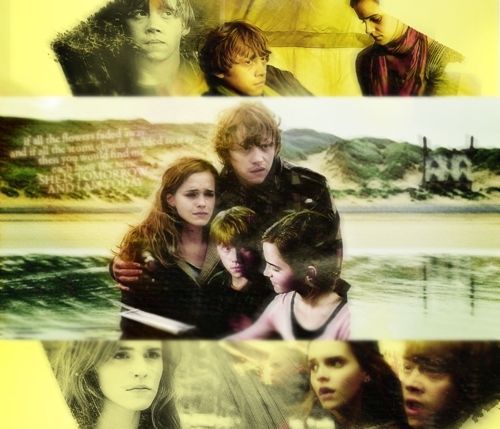 Ron and Hermione - Fan Arts 