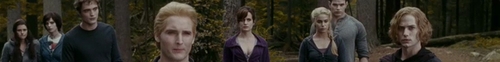  The Cullens Banner
