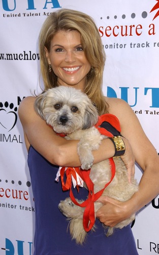  Third Annual Much 사랑 Animal Rescue Bow Wow Wow