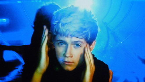  niall horan - the cutest pic EVER!