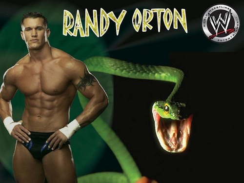  randy orton the 毒蛇