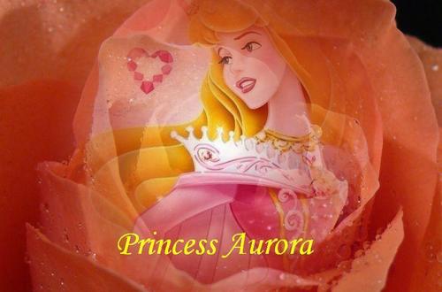  ♥Princess Aurora♥