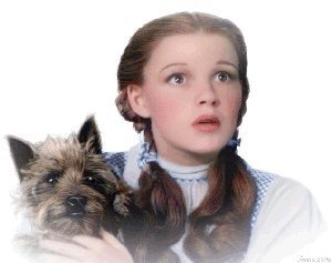  Dorothy And Toto