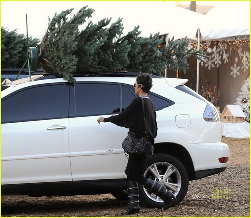Halle Berry: Christmas Tree Shopper!