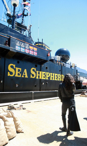  Michelle Supporting Sea Shepherd - 2010