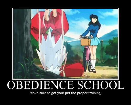  Obedience School