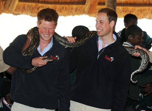  Prince William and Prince Harry at the Mokolodi Education Centre
