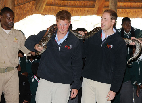  Prince William and Prince Harry at the Mokolodi Education Centre