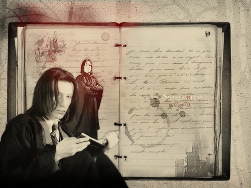  Snape's Diary