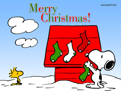  Snoopy Weihnachten