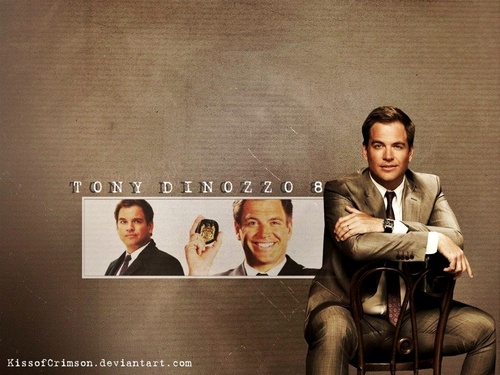  Tony DiNozzo Season 8