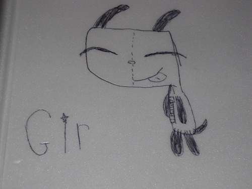  my drawing of gir