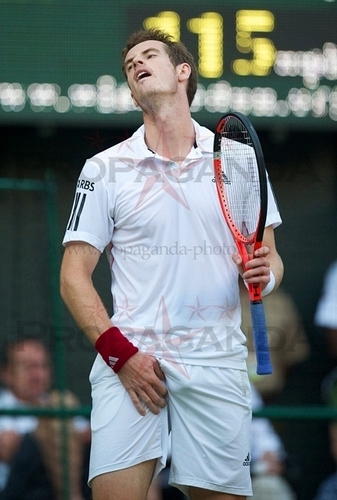  Andy Murray sexy