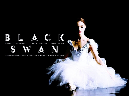  Black schwan