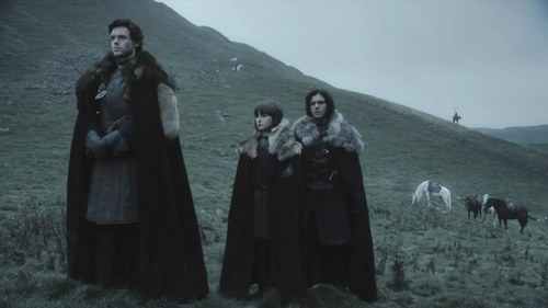  Robb, Bran Stark & Jon Snow