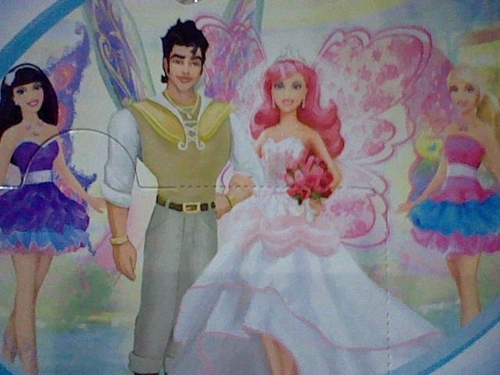  A Fairy Secret- The Image on the back of Princess Gracelia's box