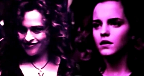 Bellatrix & Hermione Fan Art