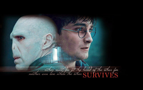  Harry Potter & Voldemort