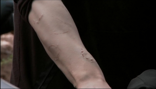  Jasper 'scars'