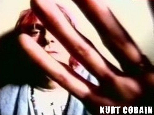  Kurt♥