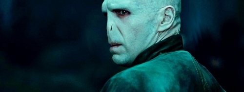  Lord Voldemort - Banner