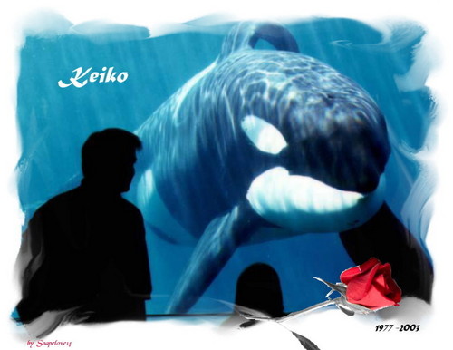  Memory of Keiko