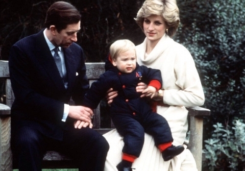diana and her sons - Princess Diana Photo (17796384) - Fanpop