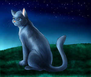  Blue ster gazing into the moon