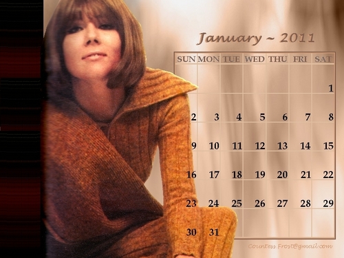 Diana - January 2011 (calendar)