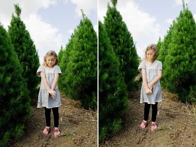 Gemma looking for a Christmas tree