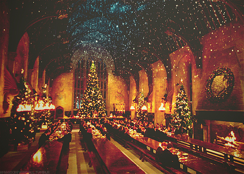  Hogwarts at 圣诞节 time :))