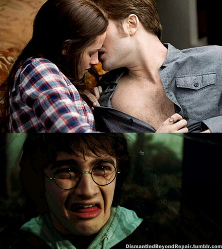  HP vs Twilight