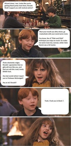 HP vs Twilight 