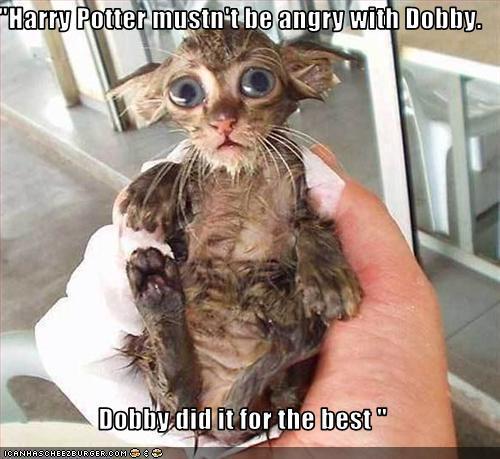  Haha Dobby