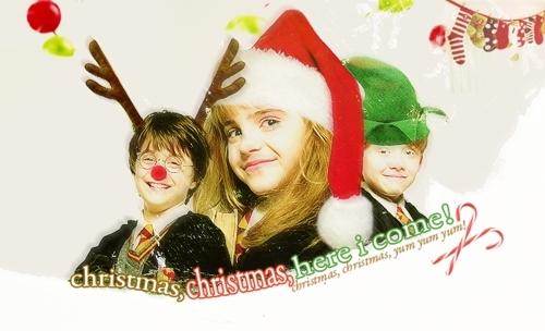 Have Yourself a Merry Potter Christmas