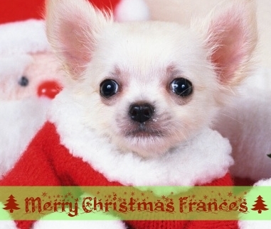  Merry natal Frances