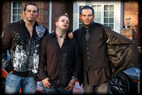  The Hardy montrer