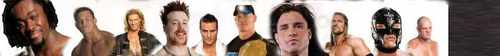  WWE banner