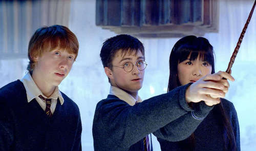  Harry,Ron and Cho